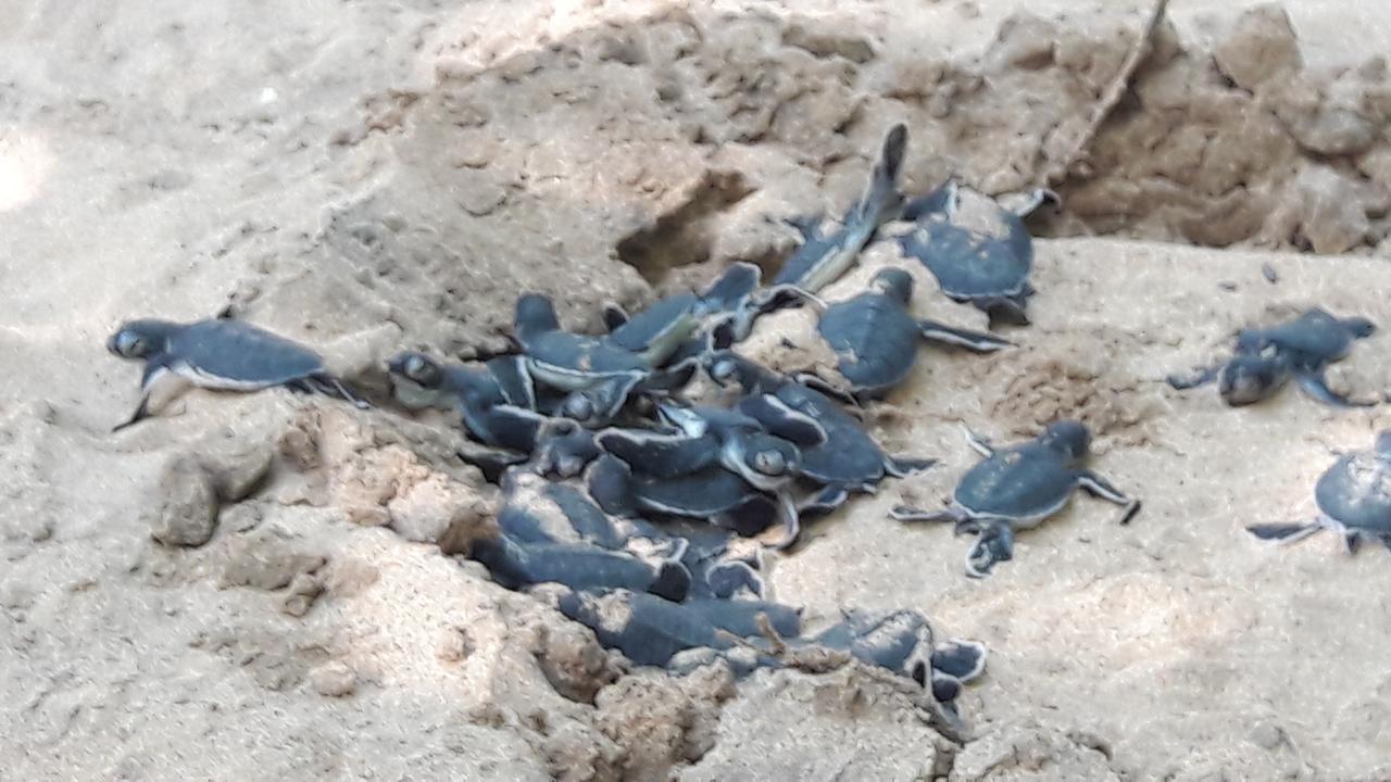 Leatherback Beach Villa Ахунгалла Экстерьер фото